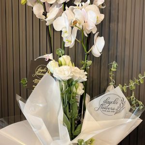 Premium Beyaz Orkide