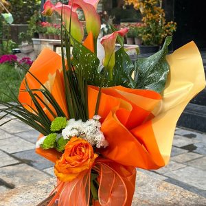Turuncu Gala Saksı Çiçeği